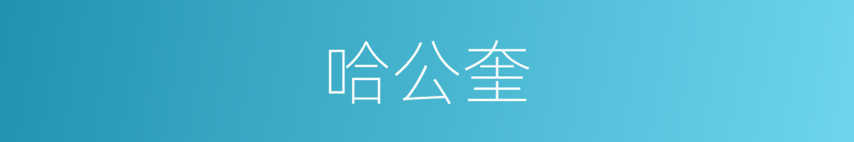 哈公奎的同义词