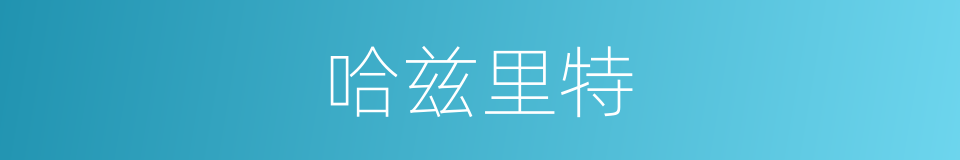 哈兹里特的同义词