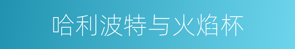 哈利波特与火焰杯的同义词