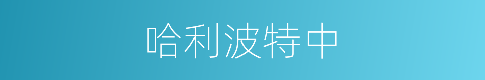 哈利波特中的同义词