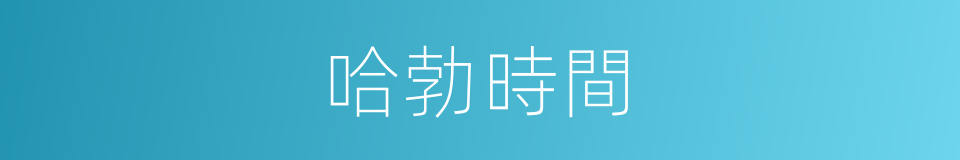哈勃時間的同義詞
