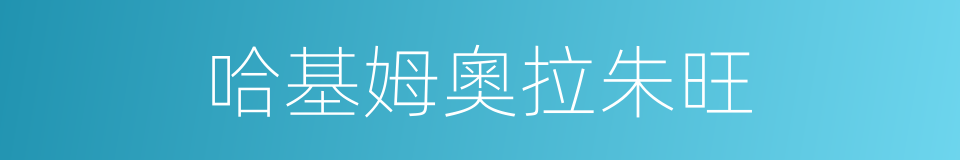 哈基姆奧拉朱旺的同義詞