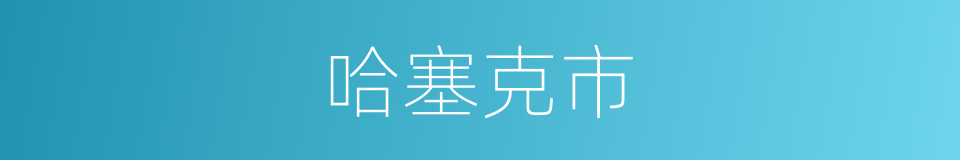 哈塞克市的同义词