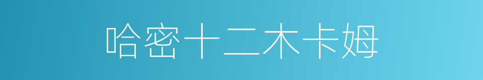 哈密十二木卡姆的同义词