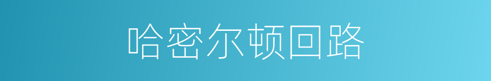 哈密尔顿回路的同义词