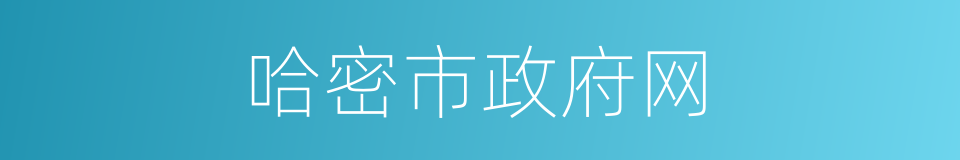 哈密市政府网的同义词