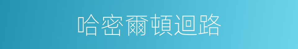 哈密爾頓迴路的同義詞
