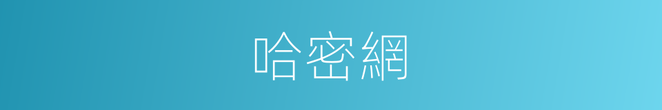 哈密網的同義詞
