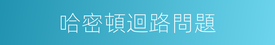 哈密頓迴路問題的同義詞