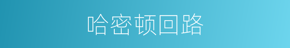 哈密顿回路的同义词