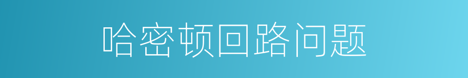 哈密顿回路问题的同义词