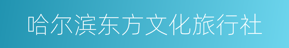 哈尔滨东方文化旅行社的同义词