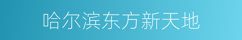 哈尔滨东方新天地的同义词