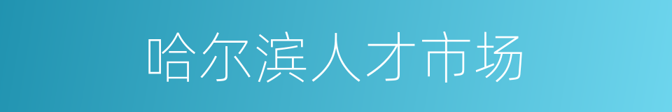 哈尔滨人才市场的同义词