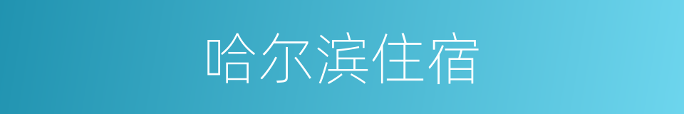 哈尔滨住宿的同义词