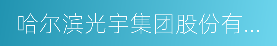 哈尔滨光宇集团股份有限公司的同义词