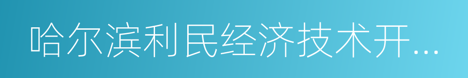 哈尔滨利民经济技术开发区的同义词