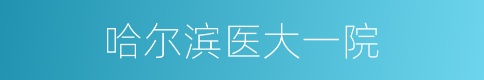 哈尔滨医大一院的同义词