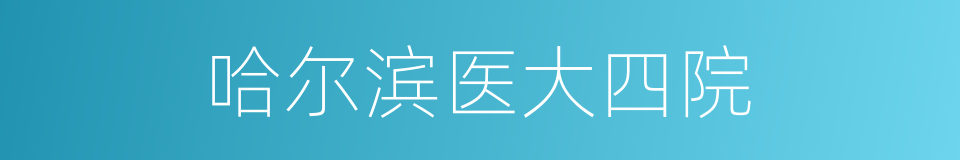 哈尔滨医大四院的同义词