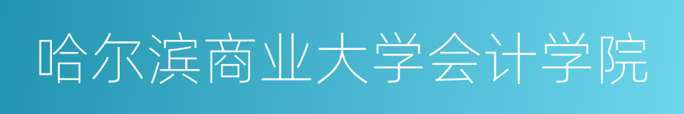 哈尔滨商业大学会计学院的同义词