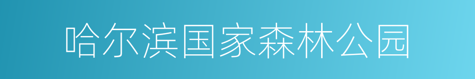 哈尔滨国家森林公园的同义词