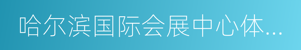 哈尔滨国际会展中心体育场的同义词