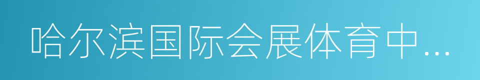 哈尔滨国际会展体育中心体育场的同义词