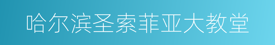 哈尔滨圣索菲亚大教堂的同义词