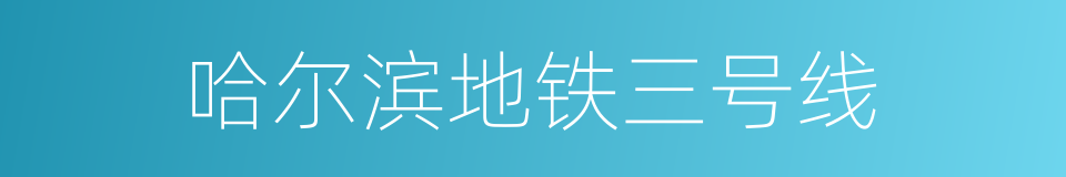 哈尔滨地铁三号线的同义词