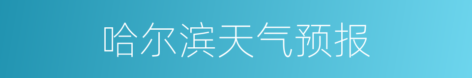 哈尔滨天气预报的同义词
