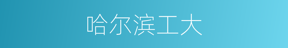 哈尔滨工大的同义词