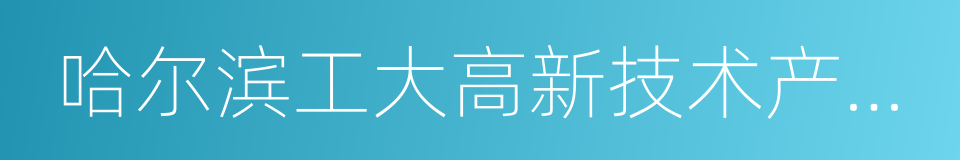 哈尔滨工大高新技术产业开发股份有限公司的同义词