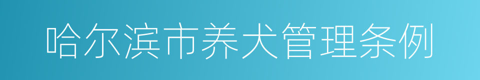 哈尔滨市养犬管理条例的同义词