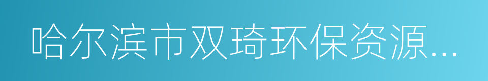 哈尔滨市双琦环保资源利用有限公司的同义词