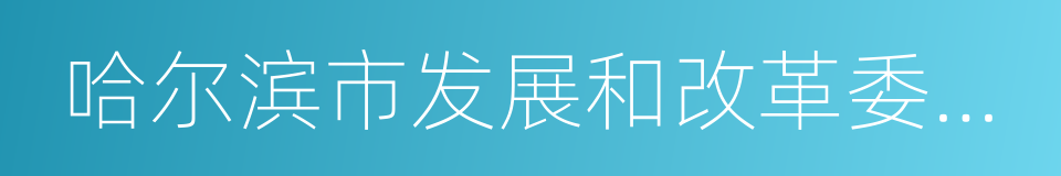 哈尔滨市发展和改革委员会的同义词