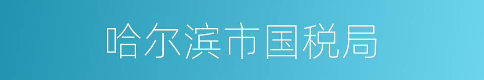 哈尔滨市国税局的同义词