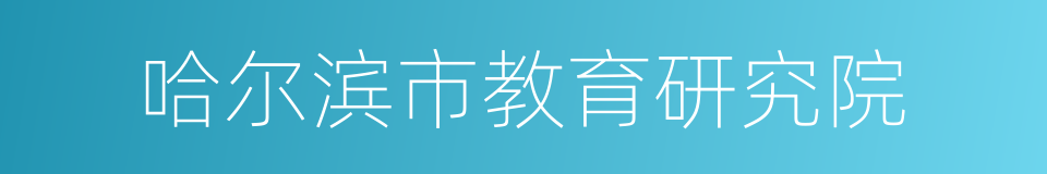 哈尔滨市教育研究院的同义词