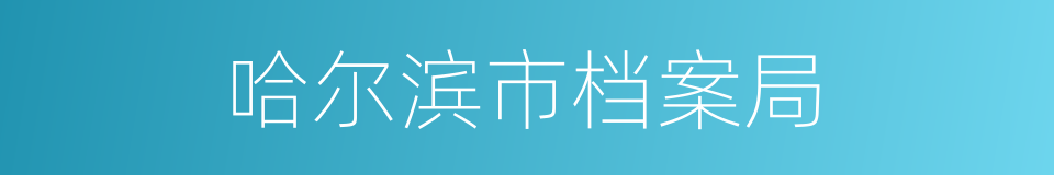 哈尔滨市档案局的同义词