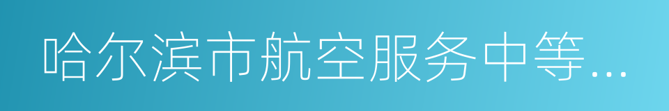 哈尔滨市航空服务中等专业学校的同义词