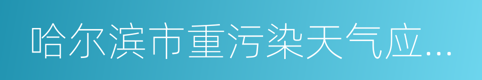 哈尔滨市重污染天气应急预案的同义词