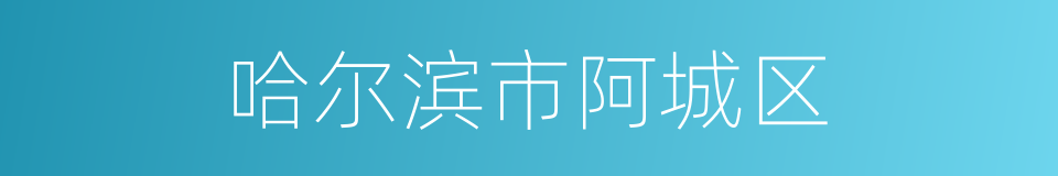 哈尔滨市阿城区的同义词