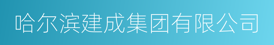 哈尔滨建成集团有限公司的同义词