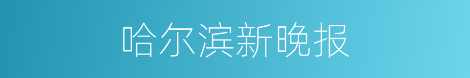 哈尔滨新晚报的同义词