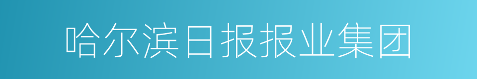 哈尔滨日报报业集团的同义词