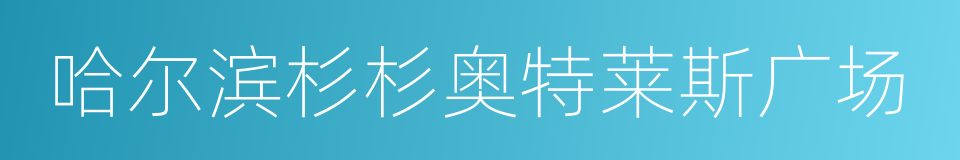 哈尔滨杉杉奥特莱斯广场的同义词