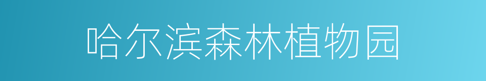 哈尔滨森林植物园的同义词