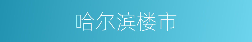 哈尔滨楼市的同义词