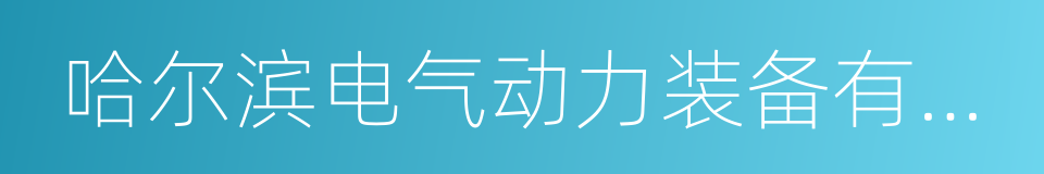 哈尔滨电气动力装备有限公司的同义词