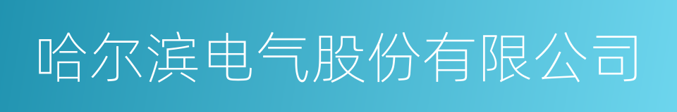 哈尔滨电气股份有限公司的同义词