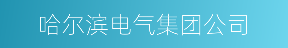 哈尔滨电气集团公司的同义词